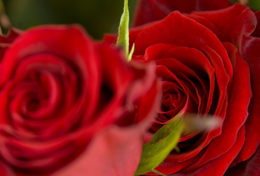 img_7134_crop