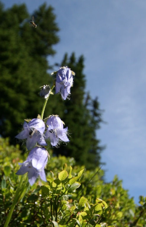 img_7498_crop