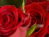 img_7134_crop